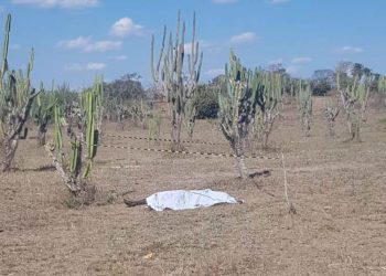 Corpo em estado de decomposição é encontrado em fazenda próximo a sede municipal de Retirolândia