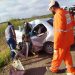 Colisão envolvendo Palio e carreta deixa quatro mortos na BR 116/Norte