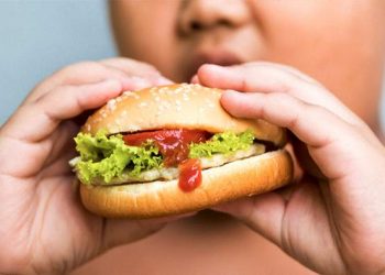 OMS e Organização e Ministério da Saúde se preocupam com os índices da obesidade infantil