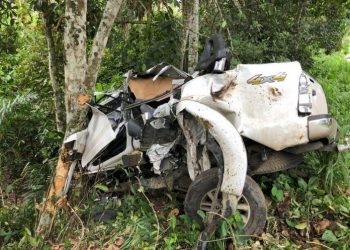 Carro sai da pista, bate em árvore e causa a morte de um homem e deixa outro ferido