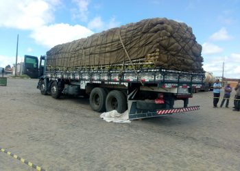 Caminhoneiro de Filadélfia-BA morre após parar veículo para regular os freios