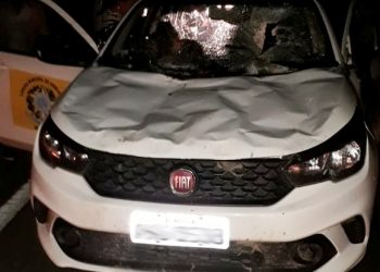 Presidente da Câmara de Macajuba fica ferido após veículo que dirigia atropelou animal na BA 052