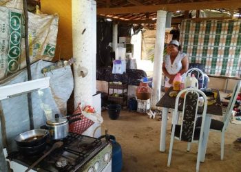 Salgadália – Mulher desocupa aviário para filha, genro e quatro filhos morar