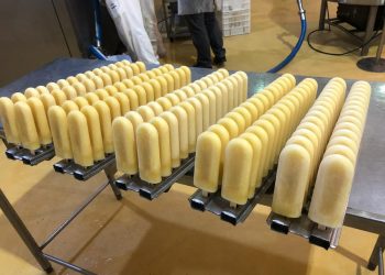 Picolé de cerveja é criado por empresas pernambucanas e vira aposta para verão e carnaval