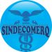 Edital de Convocação – Assembleia Ordinária do SINDECOMERQ