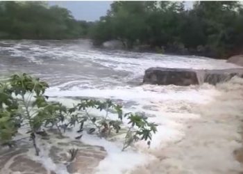 Idoso morre em consequência de afogamento em açude no município de Santaluz