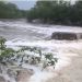 Idoso morre em consequência de afogamento em açude no município de Santaluz