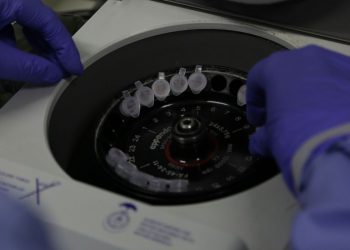 Coronavírus: cientistas britânicos começam a testar vacina em ratos