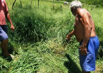 Jovem leva vários tiros em tentativa de homicídio na zona rural