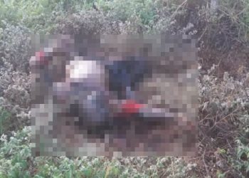 Corpo em estado de decomposição é encontrado no Povoado Goiabeira