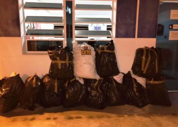 Após ser detido pelo CETO, dono de carga de maconha tentou subornar policiais oferecendo R$ 300 mil