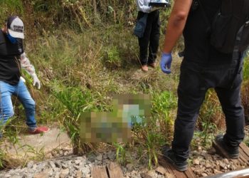 SP – Homem morre atropelado por trem quando fotografava na linha férrea. Vítima é natural de Miguel Calmon, diz site
