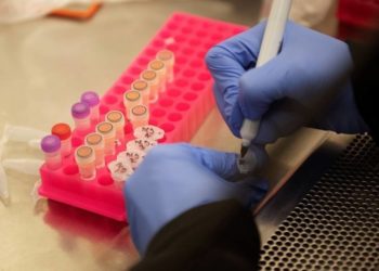 Coronavírus: Ministério vai permitir que médicos usem remédio da malária em pacientes graves