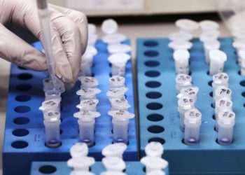 Número de mortes por covid-19 no país se aproxima de 2 mil