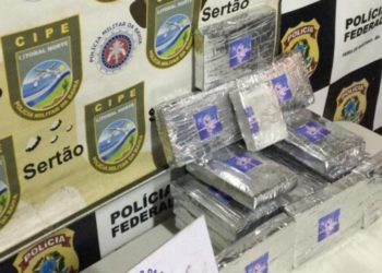 Cocaína que veio de SP para Feira é interceptada na BR-116