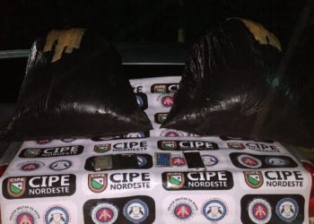 Casal flagrado transportando drogas de PE para Bahia