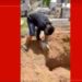 AM – Com falta de coveiros, família tem que enterrar idoso morto com suspeita de Covid-19 em cemitério de Manaus