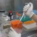 Fiocruz divulga possível eficácia de medicamento contra covid-19