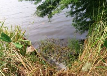 Corpo é encontrado dentro de açude em Coité; vítima teria sido assassinada e jogada da barragem