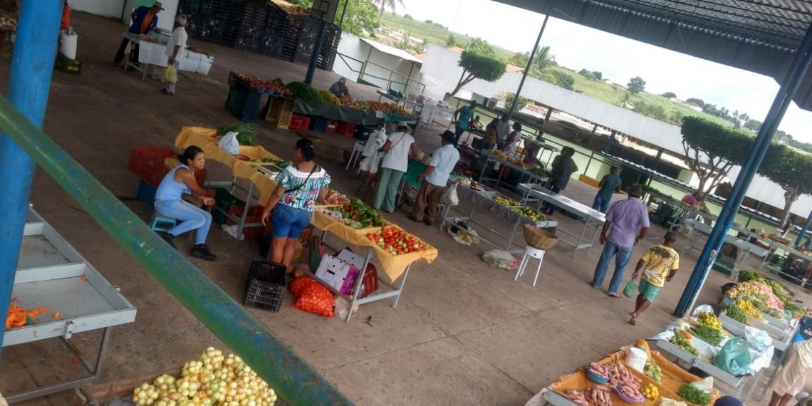 Governo lança campanha “Viva a Feira” com objetivo de criar estratégias para manter as feiras livres