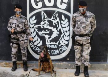 Cão farejador do Batalhão de Choque se aposenta e ganha novo lar