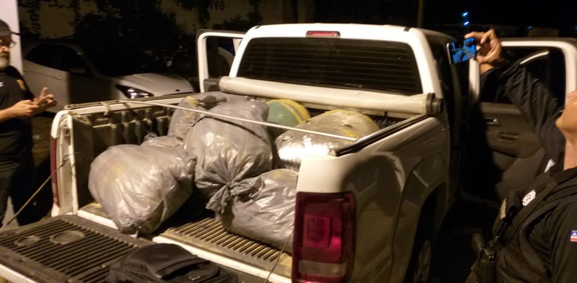 Polícia Civil apreende mais de 200 kg de maconha na BR 407