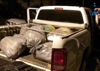 Polícia Civil apreende mais de 200 kg de maconha na BR 407