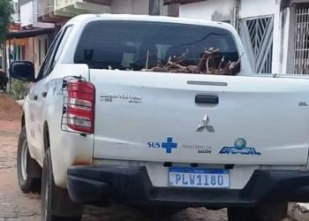 Caminhonete da Secretaria de Saúde de Teofilândia é flagrada carregada de manaíba