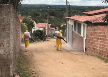 Covid-19 – Prefeitura realiza desinfecção em comunidade quilombola e anuncia mais uma cura