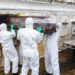 Covid-19: enterro ‘express’: dois minutos para se despedir de uma vida inteira