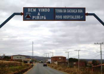 Cachorro ataca e mata gêmeas recém-nascidas em Piripá