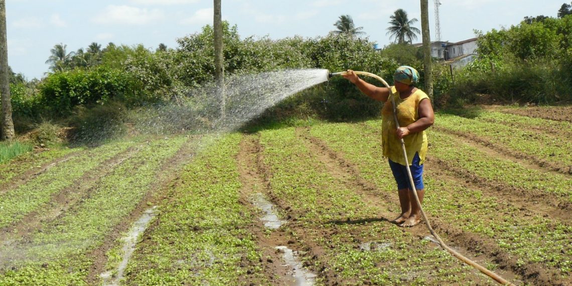 Governo do Estado garante a inclusão de mais 20 mil agricultores familiares no Garantia-Safra