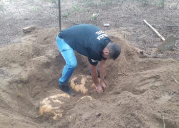 Investigadores descobrem 100 kg de droga enterrados em Ipirá