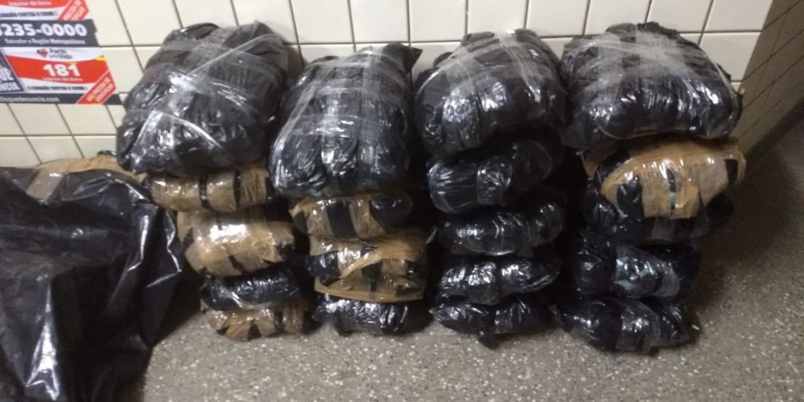 Advogado é flagrado transportando 21 kg de maconha