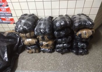 Advogado é flagrado transportando 21 kg de maconha