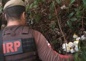 Base usada para esconder drogas que iam para presídio é desmontada
