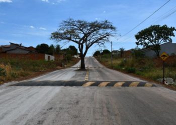 TO – Prefeitura decide não derrubar pé de cajá no meio de avenida e coloca quebra-molas para ‘evitar acidentes’