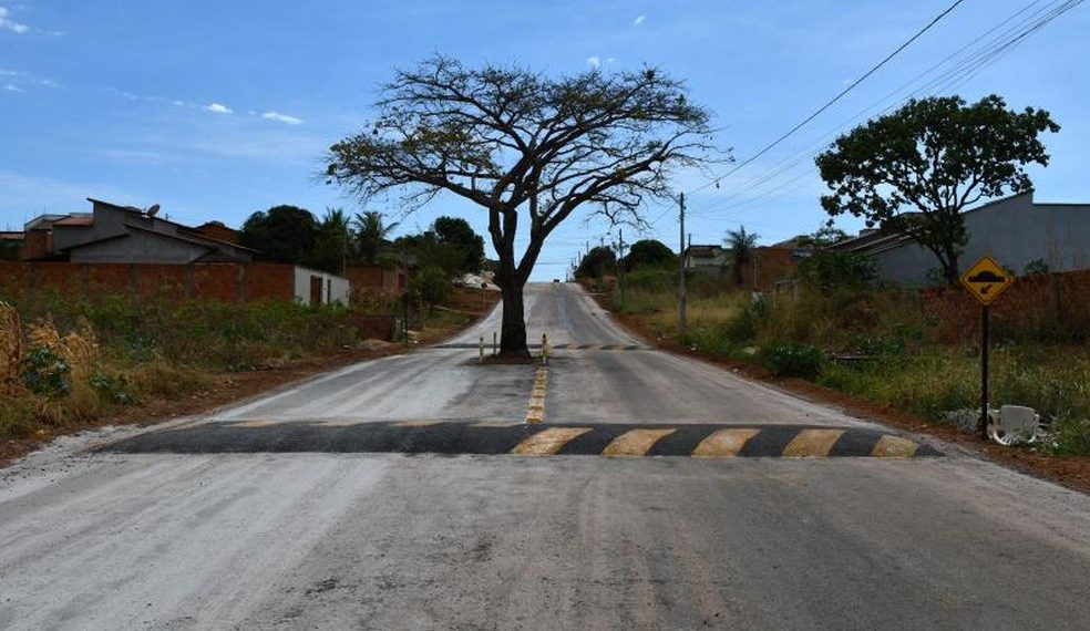TO – Prefeitura decide não derrubar pé de cajá no meio de avenida e coloca quebra-molas para ‘evitar acidentes’