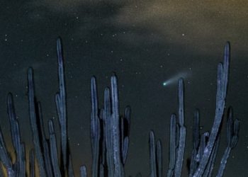 Astrofotógrafo amador coiteense registra a passagem do Comêta Neowise