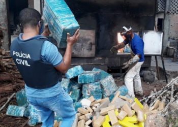 DTE incinera 6 toneladas de maconha apreendidas em Feira de Santana