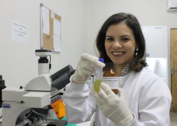 Pesquisa da UFPB cria inseticida natural com extrato do sisal que mata mosquito Aedes aegypti, transmissor da dengue
