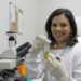 Pesquisa da UFPB cria inseticida natural com extrato do sisal que mata mosquito Aedes aegypti, transmissor da dengue