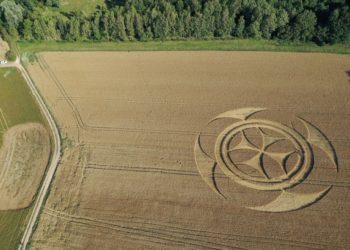 Símbolo gigantesco em campo de trigo atrai atenção de curiosos na França