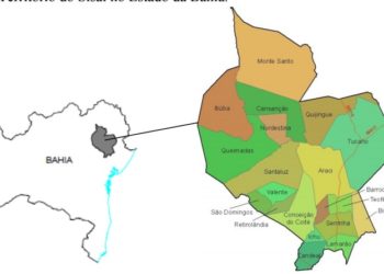 Covid-19: Território do Sisal fecha primeiro semestre com 1.604 casos confirmados e 30 óbitos