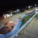 Valente – Prefeitura inova com o método Drive-In para inaugurar Praça em Valilândia 