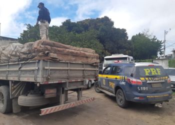 Mais de 5 toneladas de maconha são apreendidas em caminhão; droga estava escondida em meio a carga de trigo