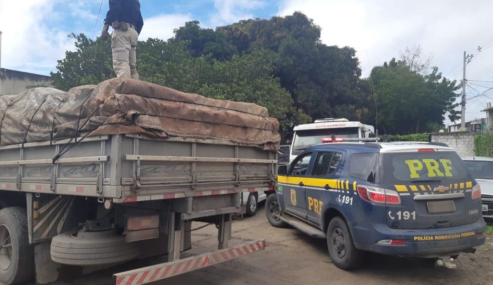 Mais de 5 toneladas de maconha são apreendidas em caminhão; droga estava escondida em meio a carga de trigo