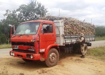 Polícia Militar de Coité recupera caqueiro furtado em frente de loja