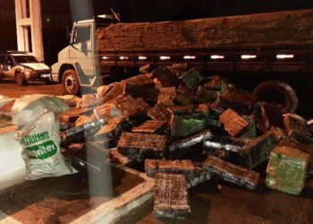 CIPRv apreende carga de maconha avaliada em R$ 12 milhões