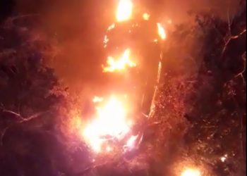 Motorista morre carbonizado após carro cair de ponte e pegar fogo na BA 233